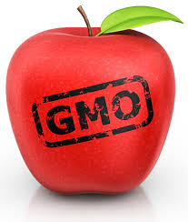 genetically modified crops