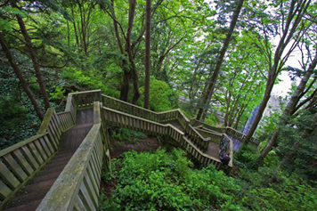 fitness and stairs