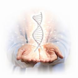DNA personalized healthcare