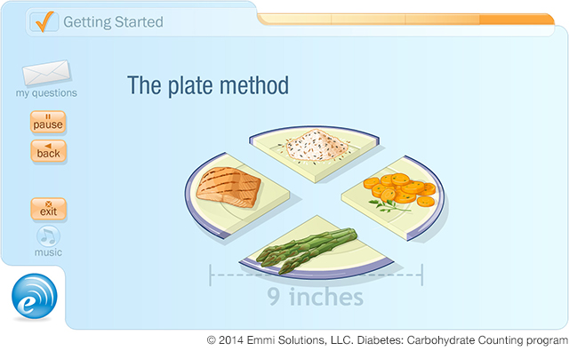 Emmi Solutions "Plate Method" Learning Tool