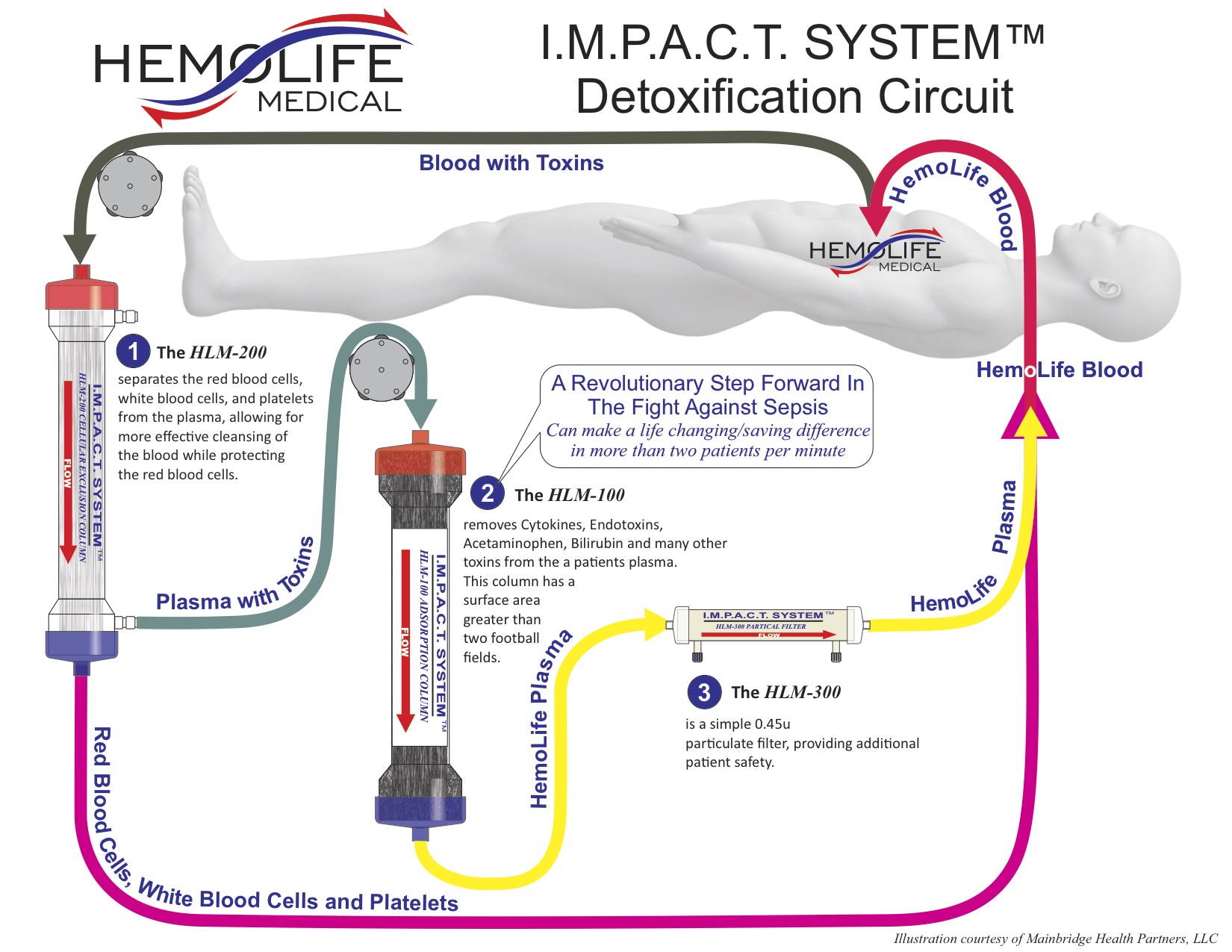 HemoLife IMPACT System