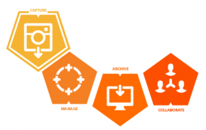 Clinical Collaboration