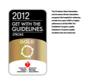 2012 Get With The Guidelines-Stroke Gold Icon
