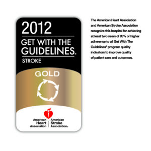 2012 Get With The Guidelines-Stroke Gold Icon