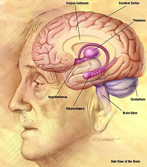 Alzheimer's disease facts and figures