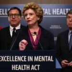 Mental Health Act of 2013
