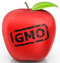 genetically modified crops