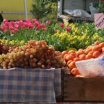 San Rafael's Farmer's Market