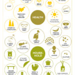 olive oil uses