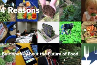 Food policy