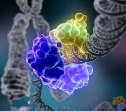 DNA repair