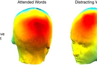 neurology research