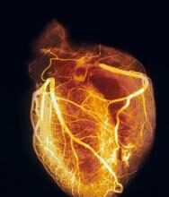 blood cholesterol
