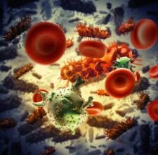 antibiotics overuse