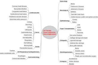 Cell-tissue-applications