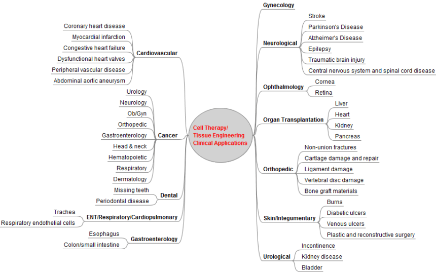 Cell-tissue-applications