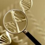 SolveBio and genomic data