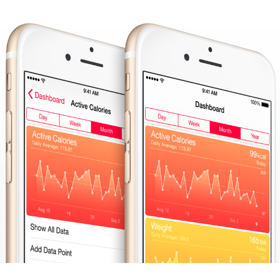  Apple Health App: A First Taste