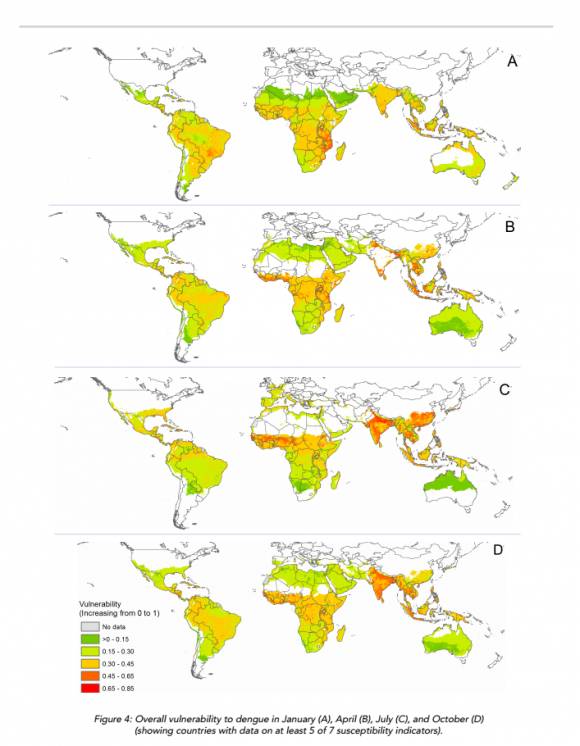 Dengue Vulnerability