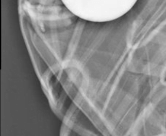 September Image Challenge