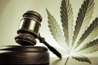 Legalized Marijuana