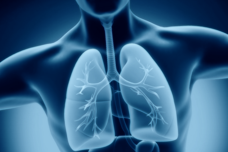  New Protein Could Aid in Therapy for Mesothelioma