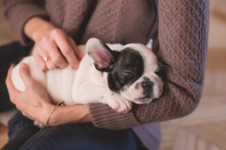 Every Hospital Needs An Animal Therapy Program To Cultivate Wellness