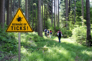 These Lyme Disease Prevention Tips Can Help Your Family Stay Safe