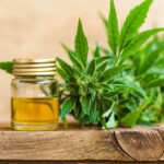 The Benefits And Risks Of Using CBD For Men’s Health