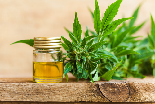  The Benefits And Risks Of Using CBD For Men’s Health