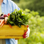 Great Organic Foods To Manage Diabetes And Its Symptoms