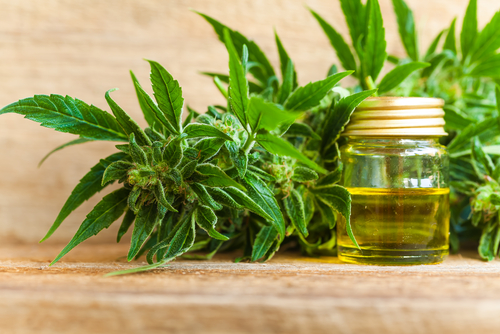  5 Reasons You Might Want To Try Full Spectrum CBD Oil