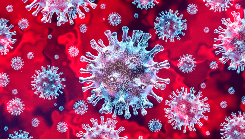Coronavirus and Animals: What You Should Know