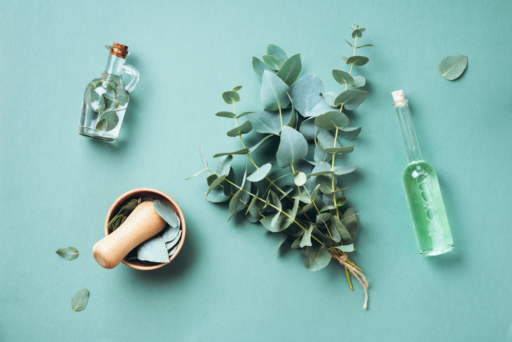 6 Surprising Reasons You Might Consider Naturopathy Treatment