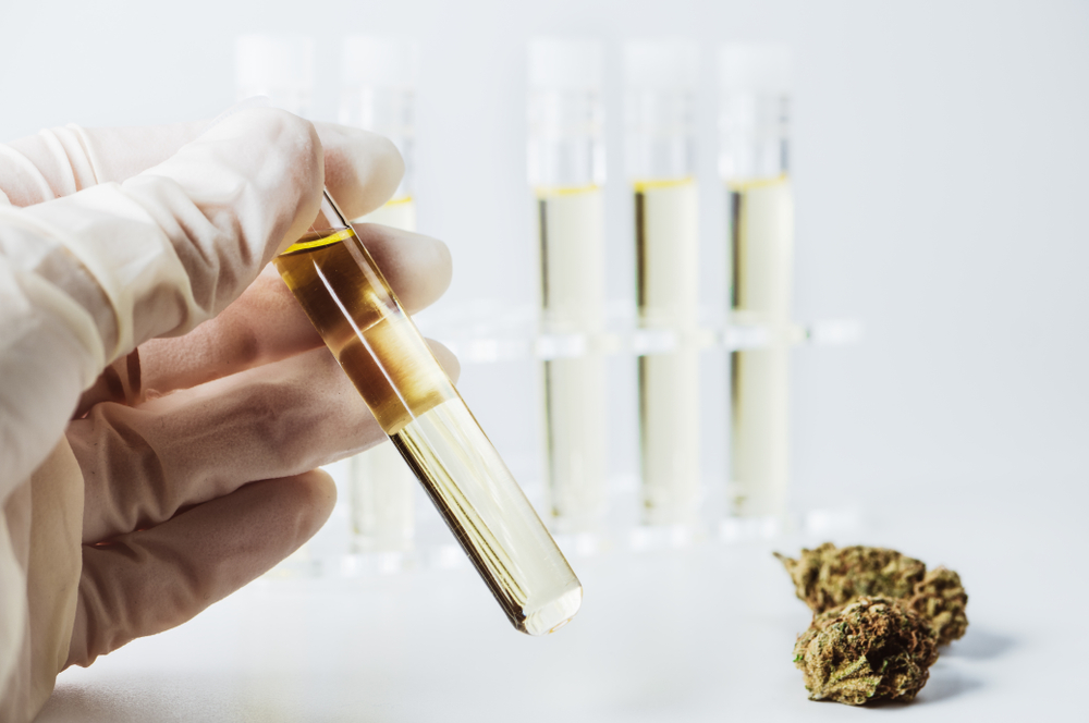 Third Party Lab Testing Plays Crucial Role In CBD Decision Making