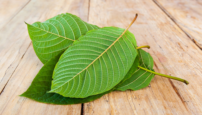 Kratom - What Nurses Should Know | Lippincott NursingCenter