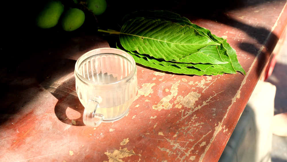 Kratom Tea vs. Matcha: Know The Differences And Similarities
