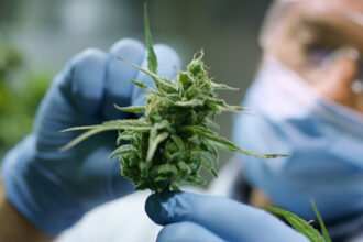 cannabis medical benefits