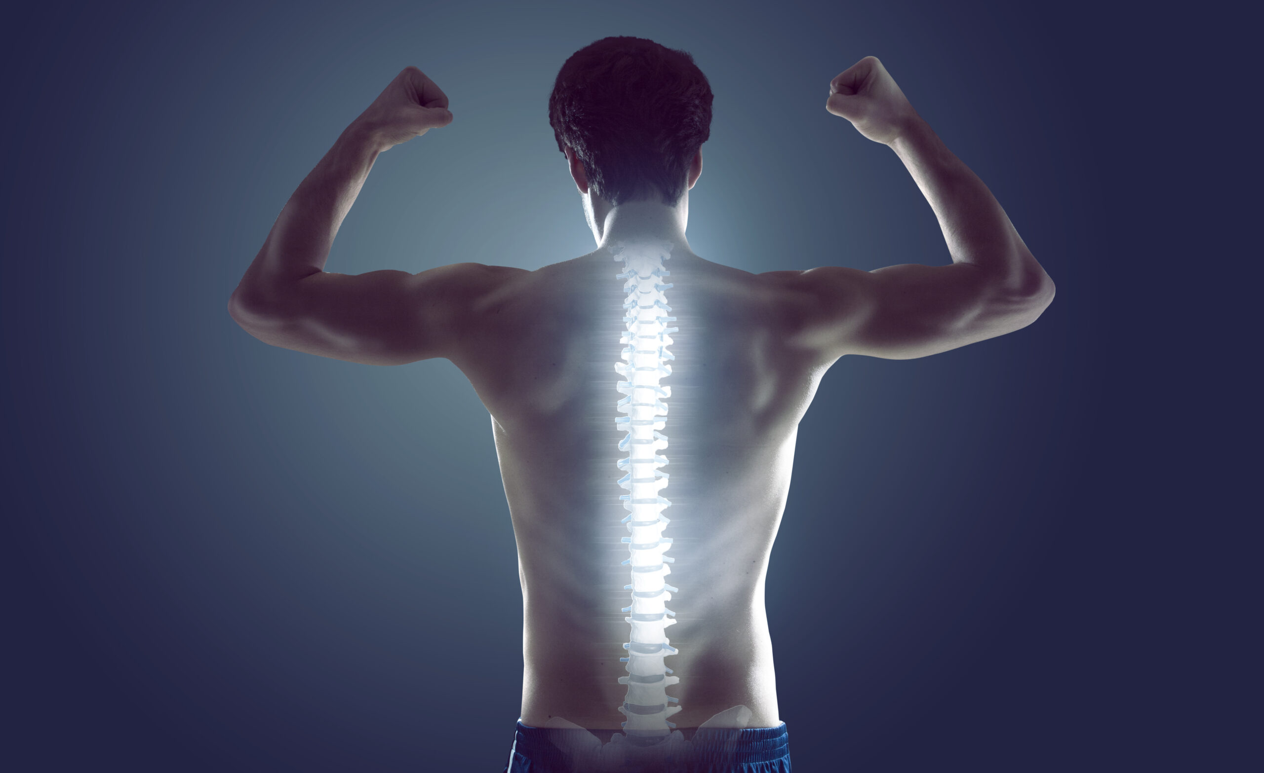 Healthy back упражнения