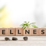 wellness importance