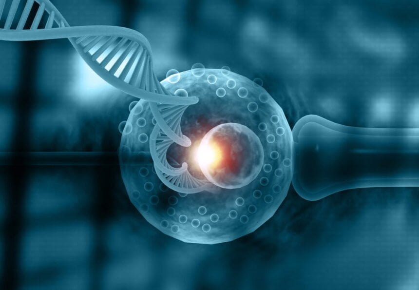 Fertility Treatments
