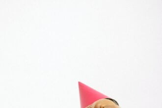 cute puppy wearing a party hat