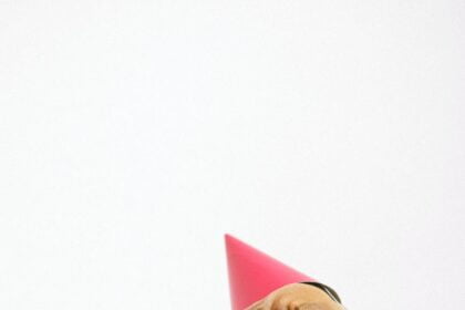 cute puppy wearing a party hat