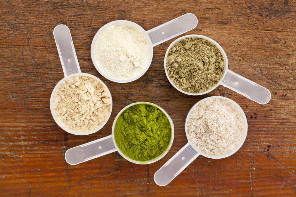 plant based protein powder