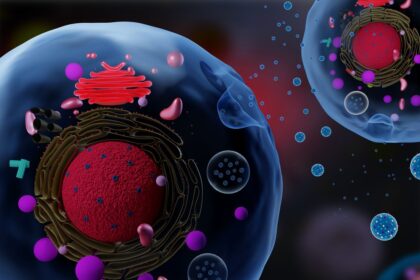 exosomes in healthcare