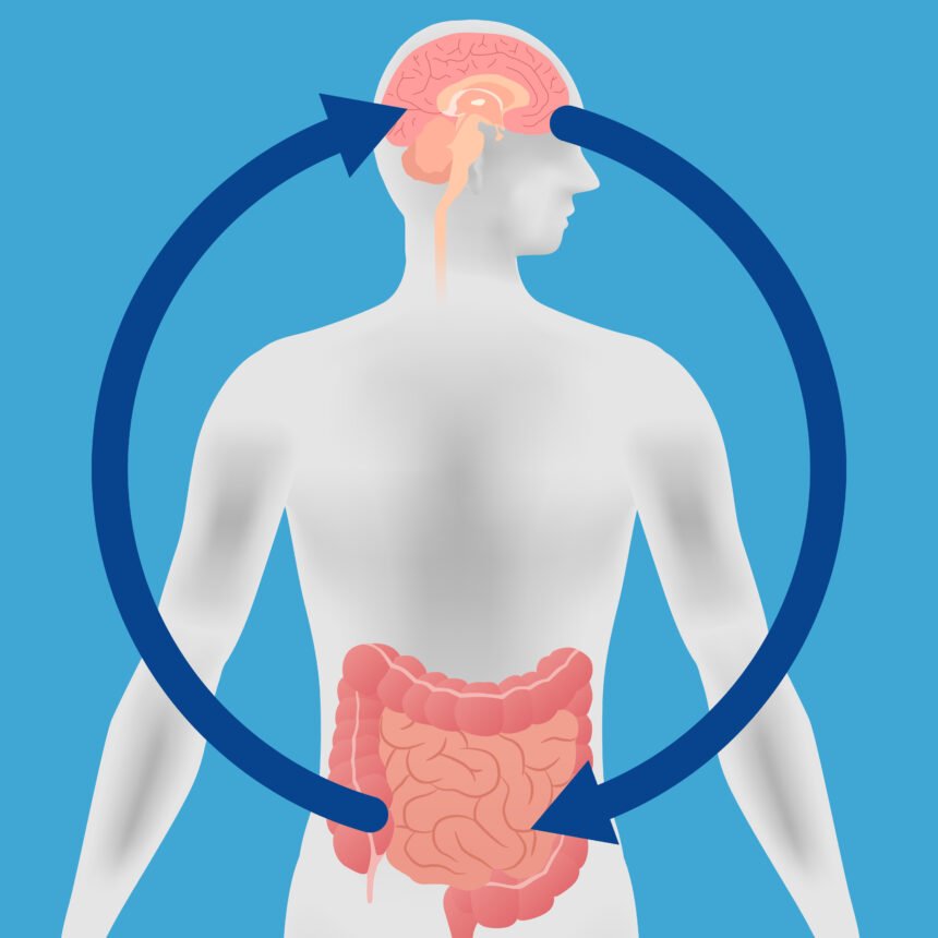relationship between gut and mental health