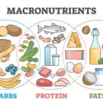 Macronutrients benefits