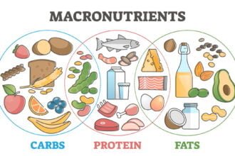 Macronutrients benefits