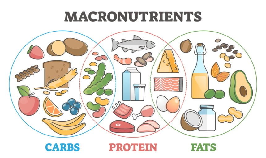Macronutrients benefits