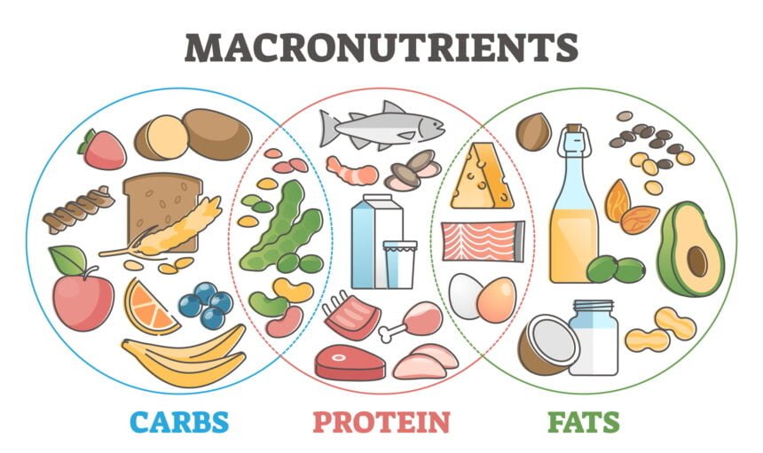 Macronutrients benefits